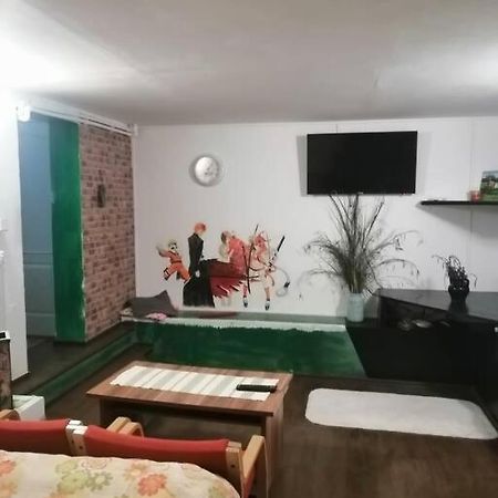 Moss'S Cave Apartment Timisoara Bagian luar foto