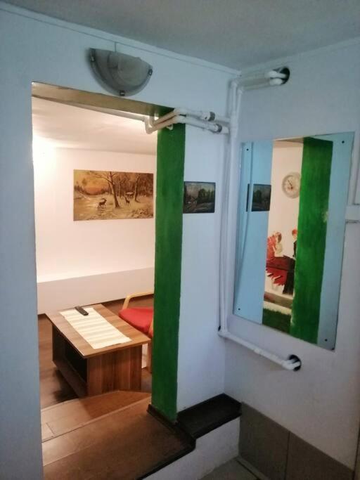 Moss'S Cave Apartment Timisoara Bagian luar foto