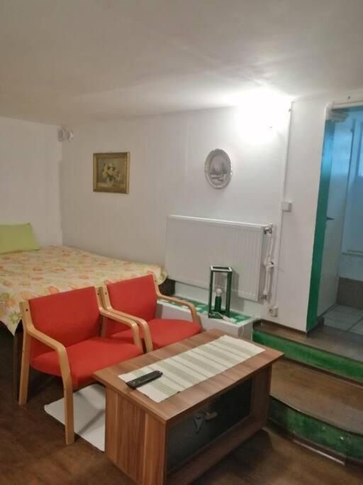 Moss'S Cave Apartment Timisoara Bagian luar foto